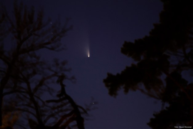 C2011L4PasSTARRS_Trees_cred