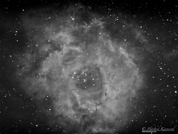 Astrophotography of the rosette nebula NGC2237 Caldwell 49 in hydrogen alpha ( h-alpha Ha) 
